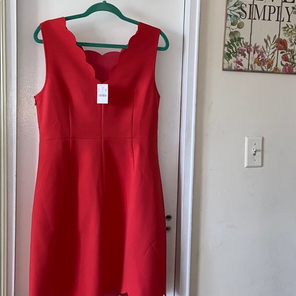 Scallop Jcrew Dress - Picture 4 of 7